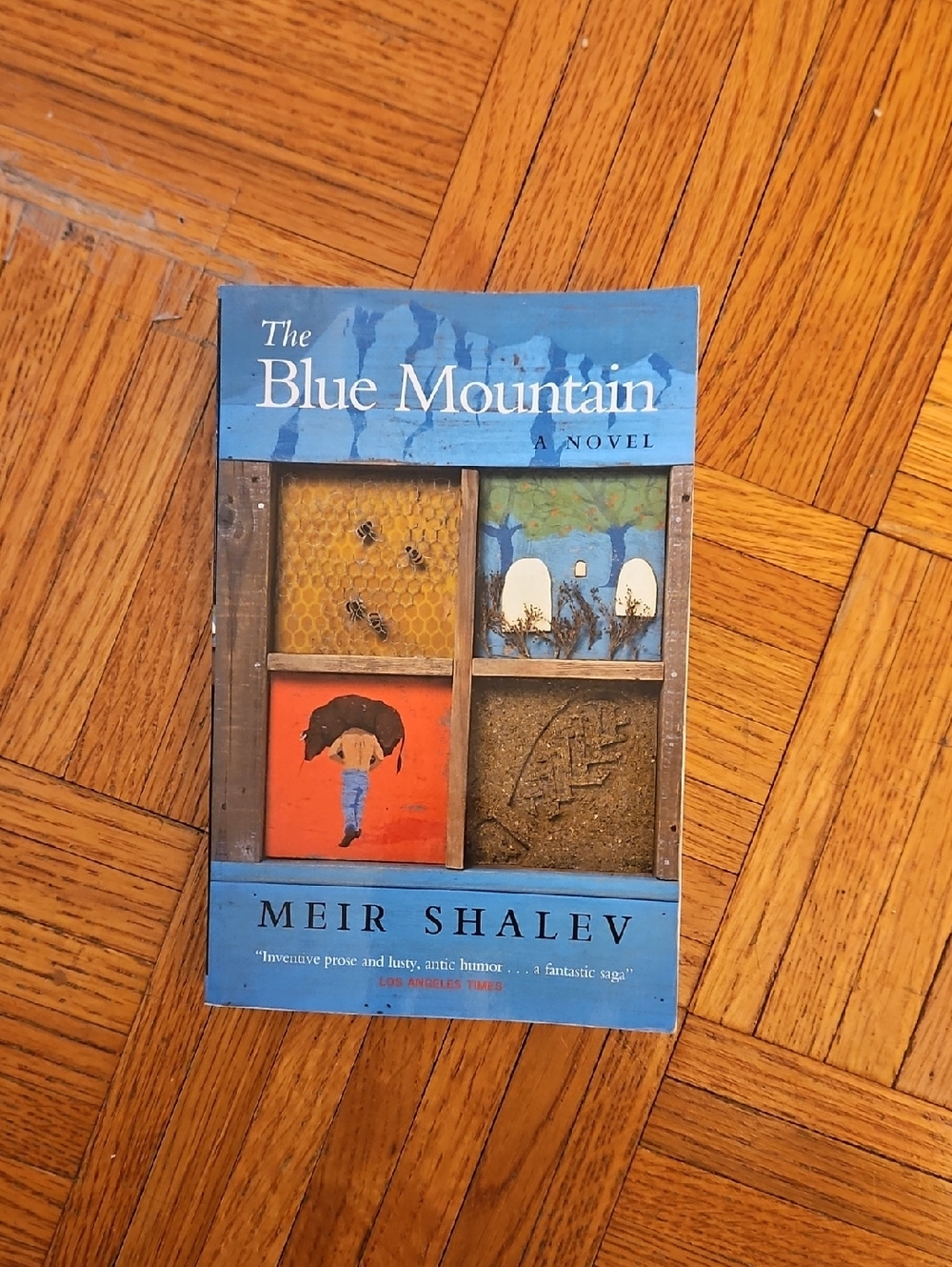 The Blue Mountain by Meir Shalev  A Fantastic Saga.